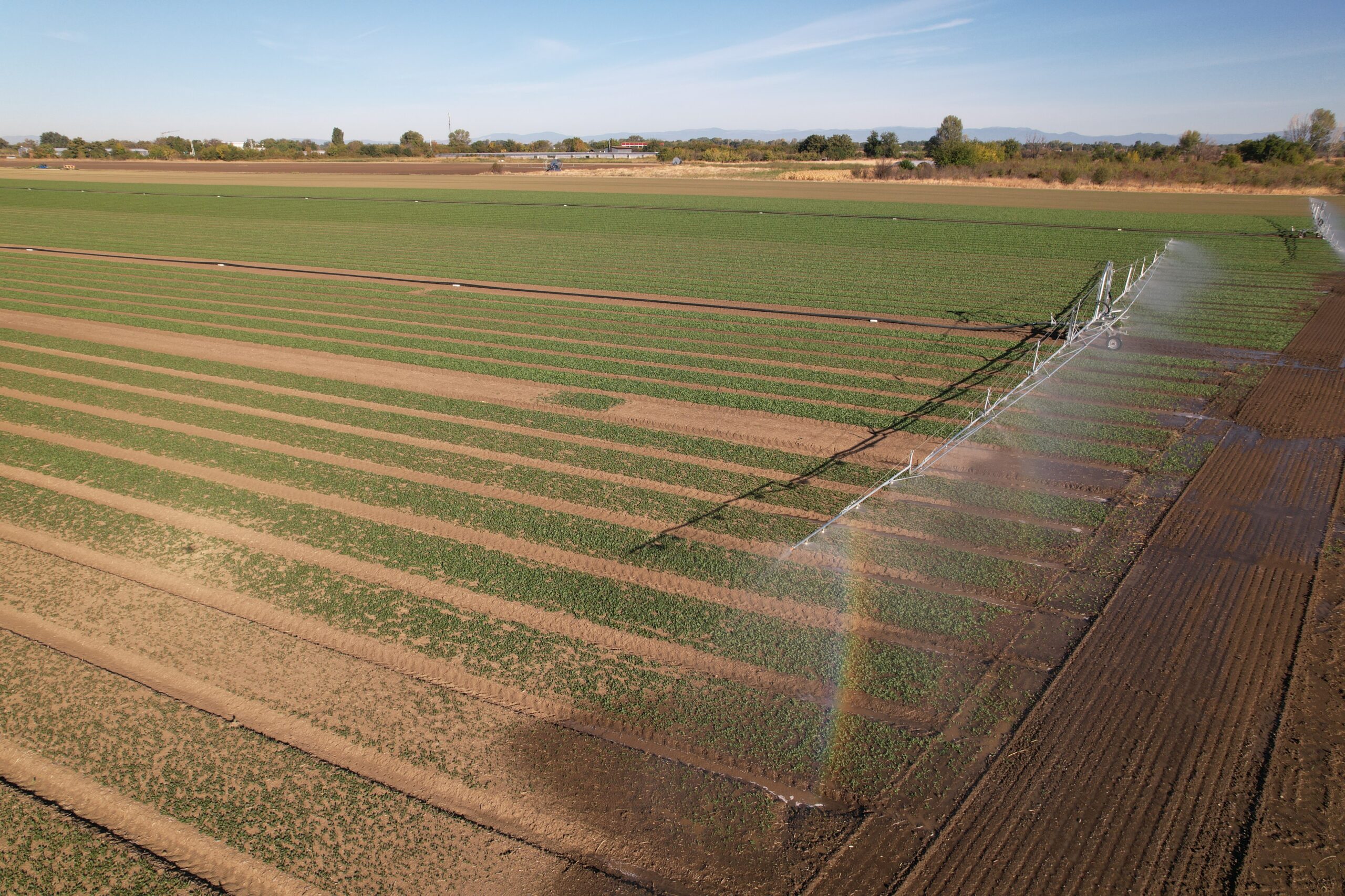 default